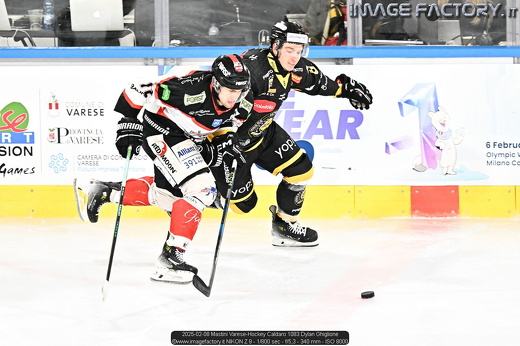 2025-02-08 Mastini Varese-Hockey Caldaro 1083 Dylan Ghiglione